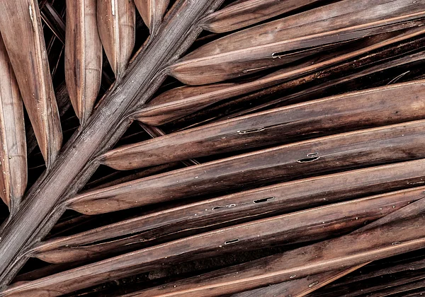 Wypalone na słońcu 