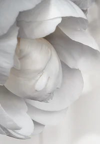 Chwila dla zatracenia