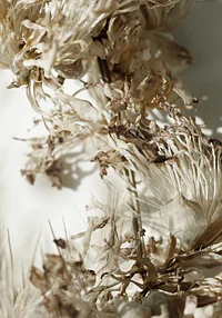 Bukiet dzikich ziół