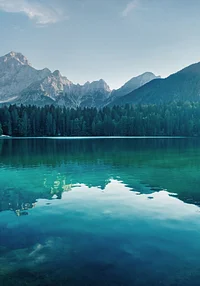 Górska samotna oaza