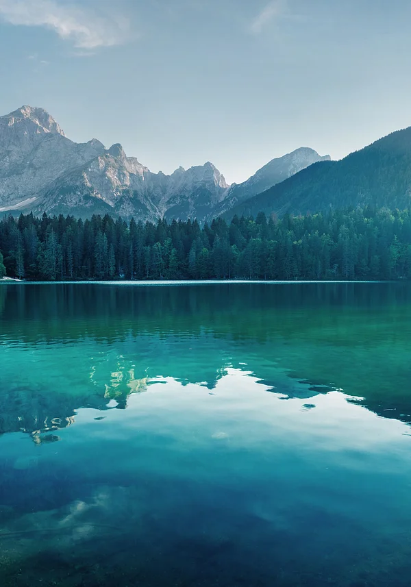 Górska samotna oaza