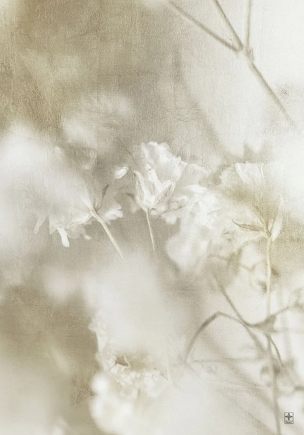 Złocista natura kwiatu