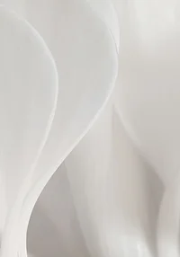 Czysta delikatność