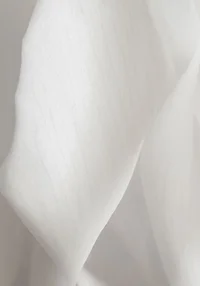 Surowa delikatność