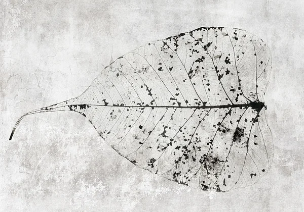 Historia pewnego liścia