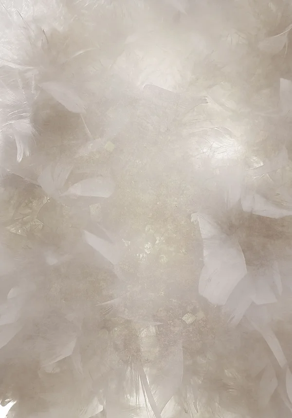 Magiczne kwiaty pustyni