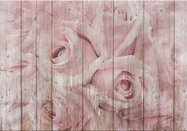 Wiosenne wspomnienia z ogrodu