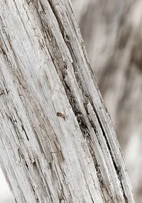 Chwila zatrzymana w czasie