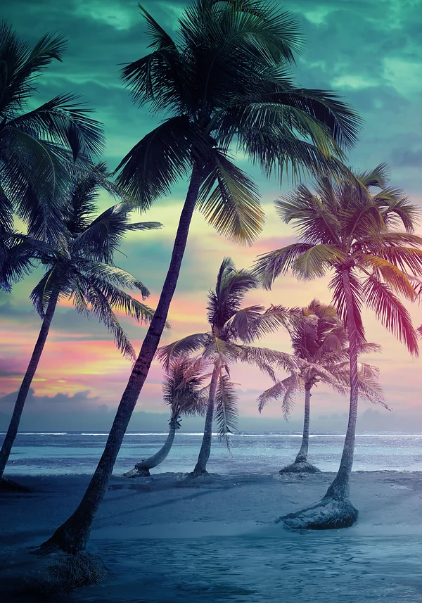 Wieczór pod palmami 