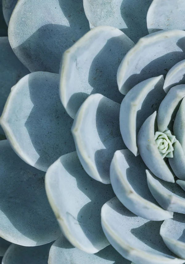 Oko w oko z turkusem