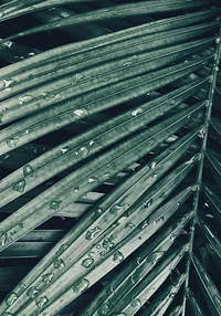 Letni ciepły deszcz