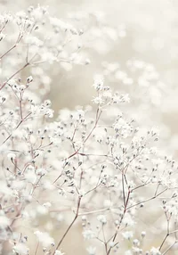 Przebudzenie wiosennej natury