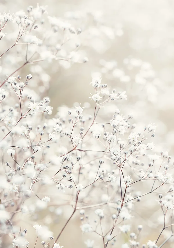 Przebudzenie wiosennej natury