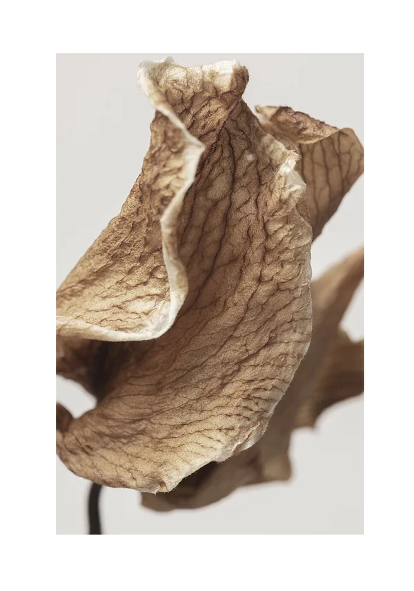 Spokój chwili na zawsze