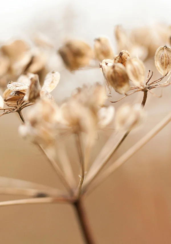 Piękno dzikiej natury