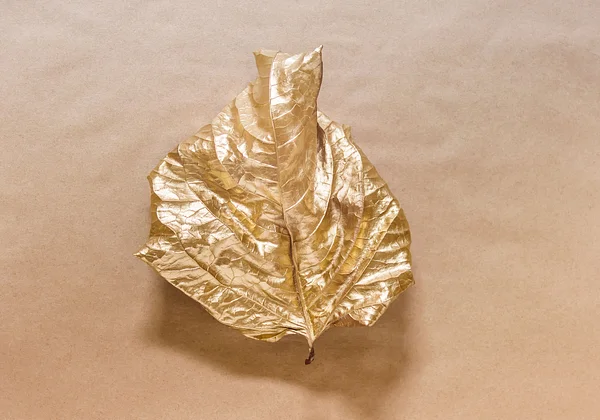 Złota natura liścia
