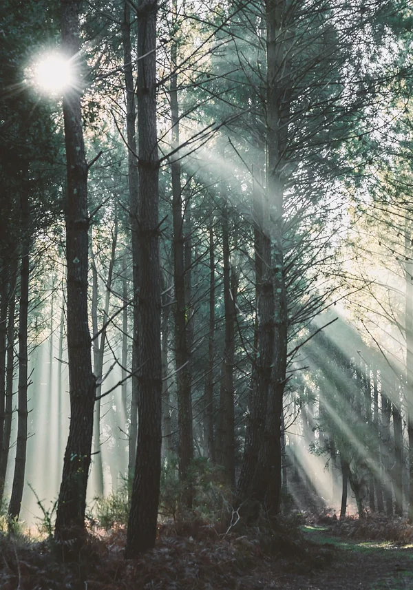 Słoneczne przebłyski