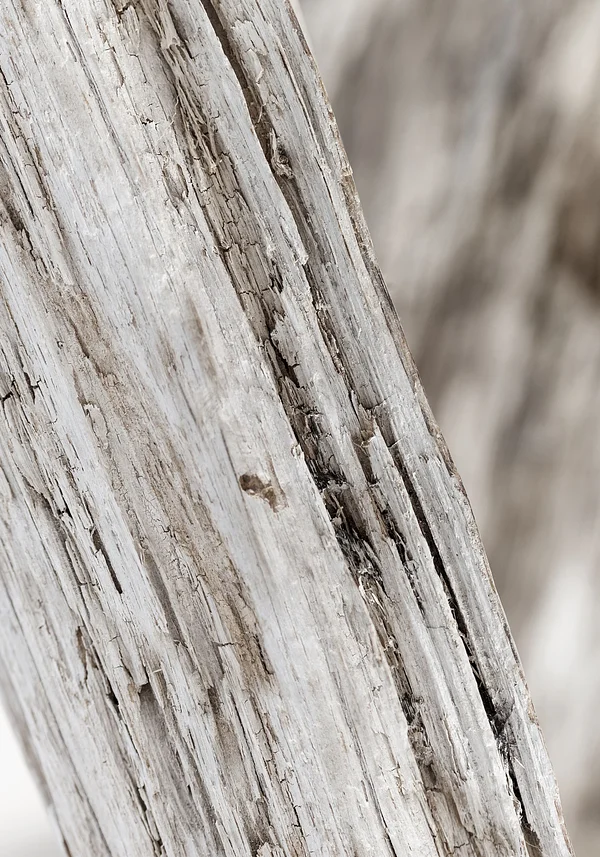 Chwila zatrzymana w czasie