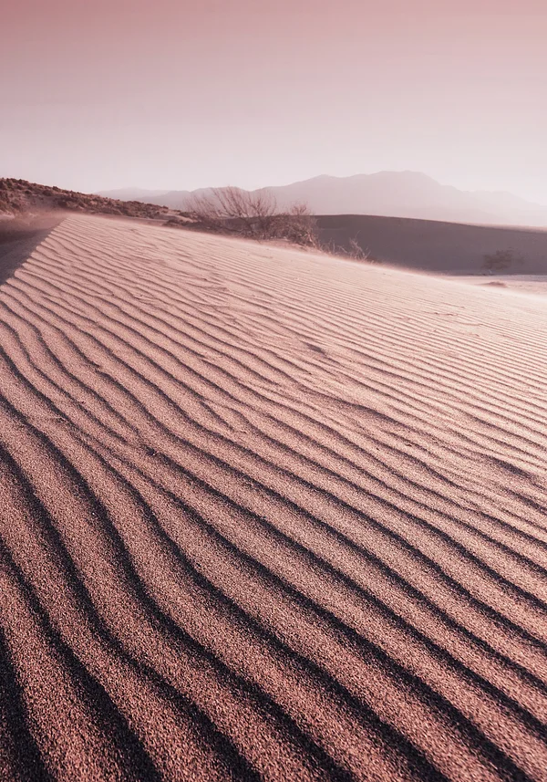 Różowa pustynia w słońcu