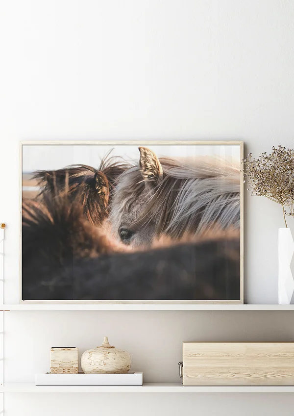 W pogoni za słońcem