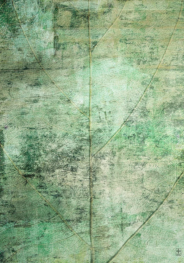 Zbliżenie Struktury Liścia z Dodatkiem Kamiennej Elegancji