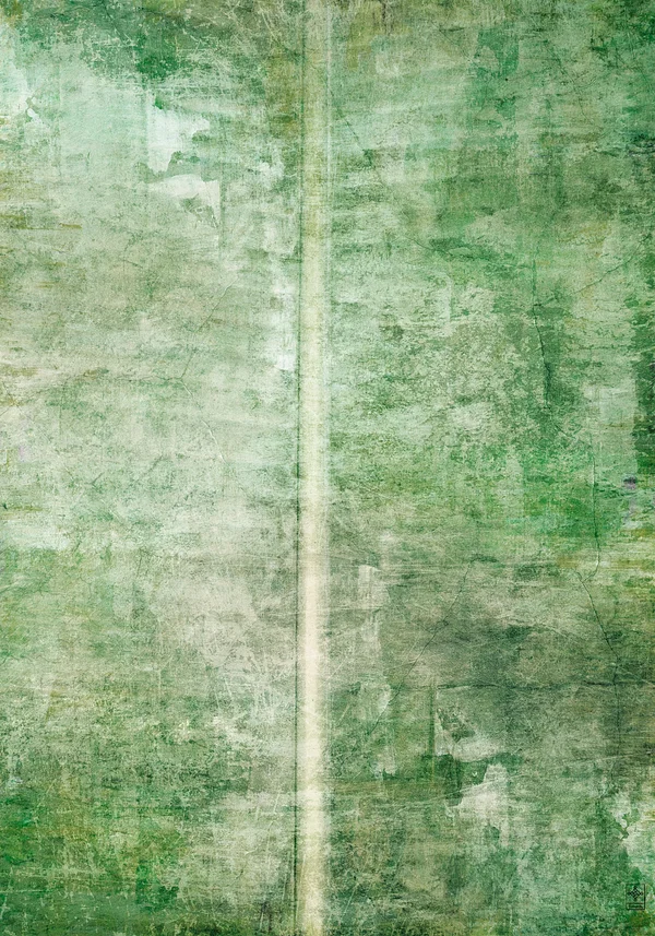 Zbliżenie Struktury Liścia z Wyjątkową Dekoracją