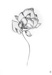 Minimalistyczny kwiat