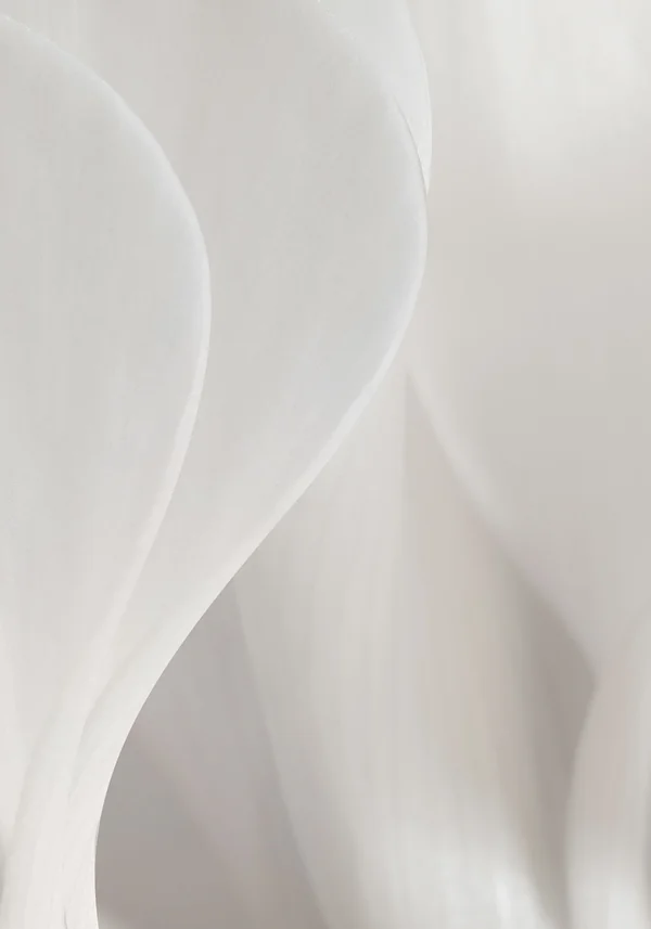 Czysta delikatność