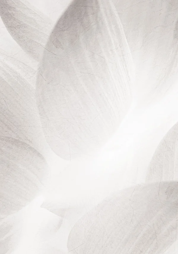 Wysublimowana delikatność