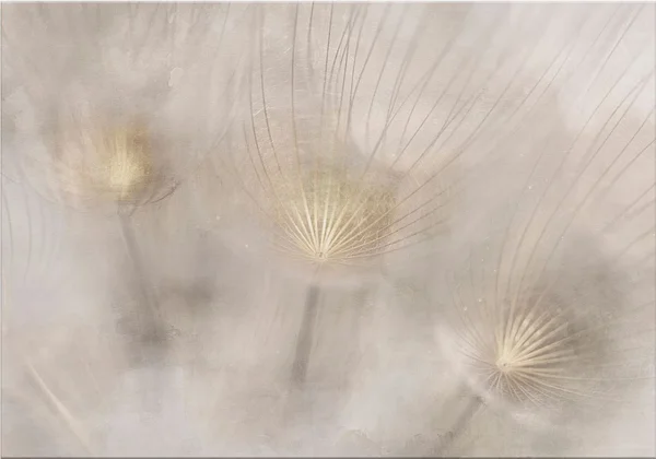 Lśniące na słońcu