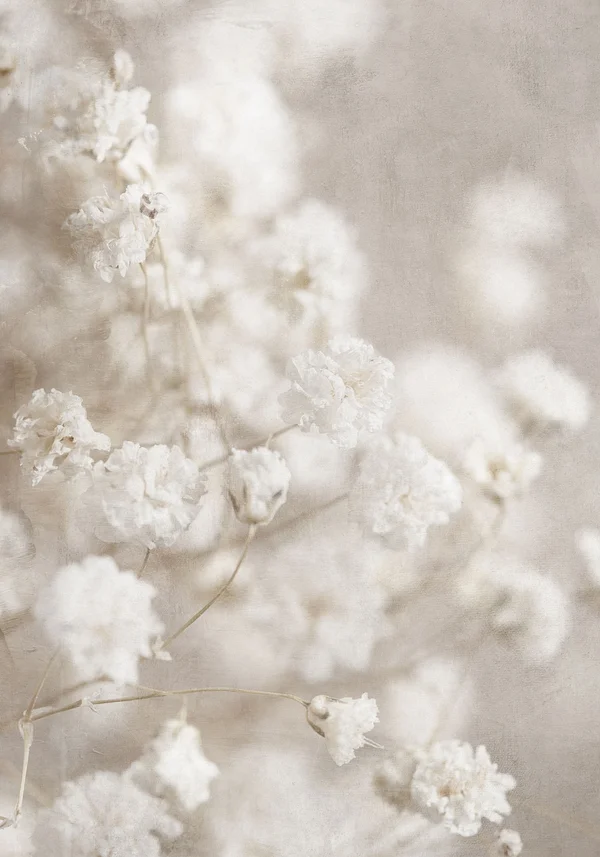 Pąki wiosennych kwiatów