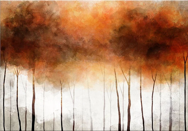 Jesienny las we mgle