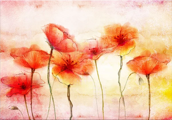 Kwietna słoneczna łąka