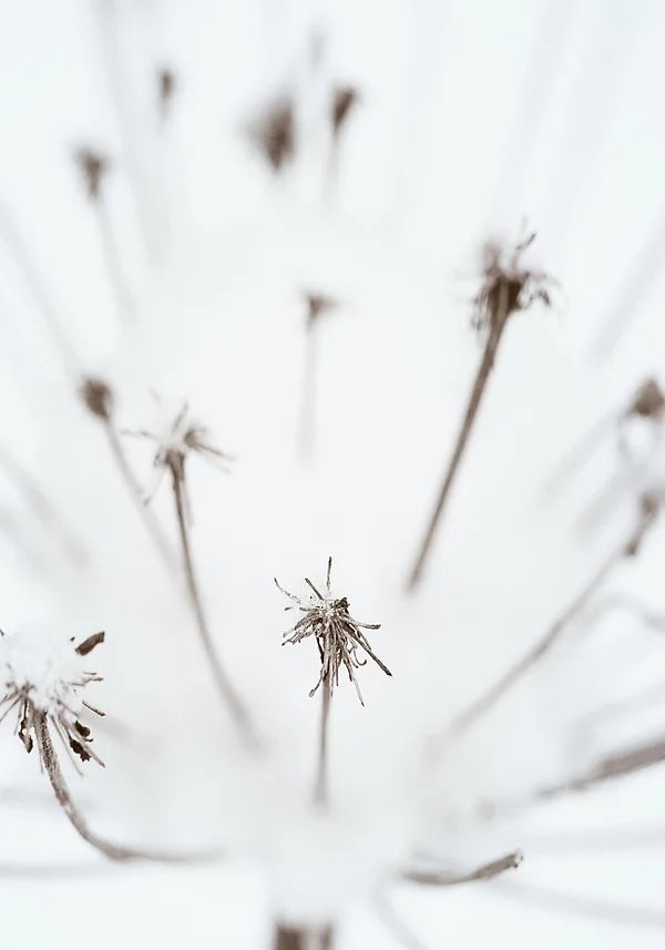 Delikatne zanikanie chwili