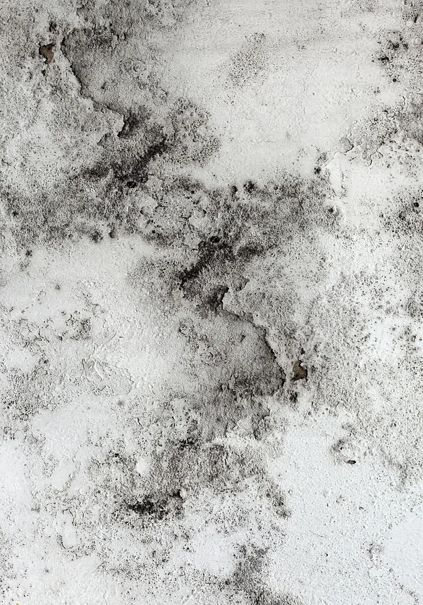 Przenikanie siebie nawzajem 