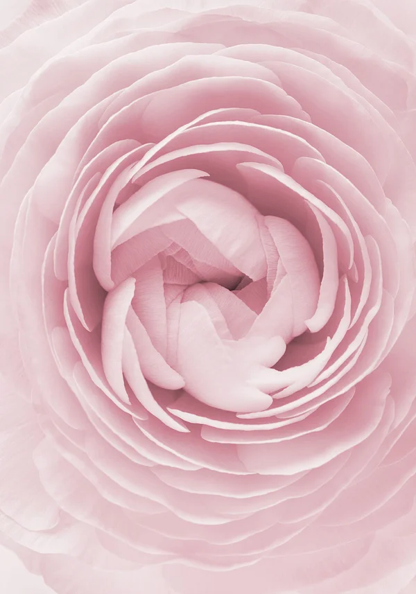 Delikatny powiew różu