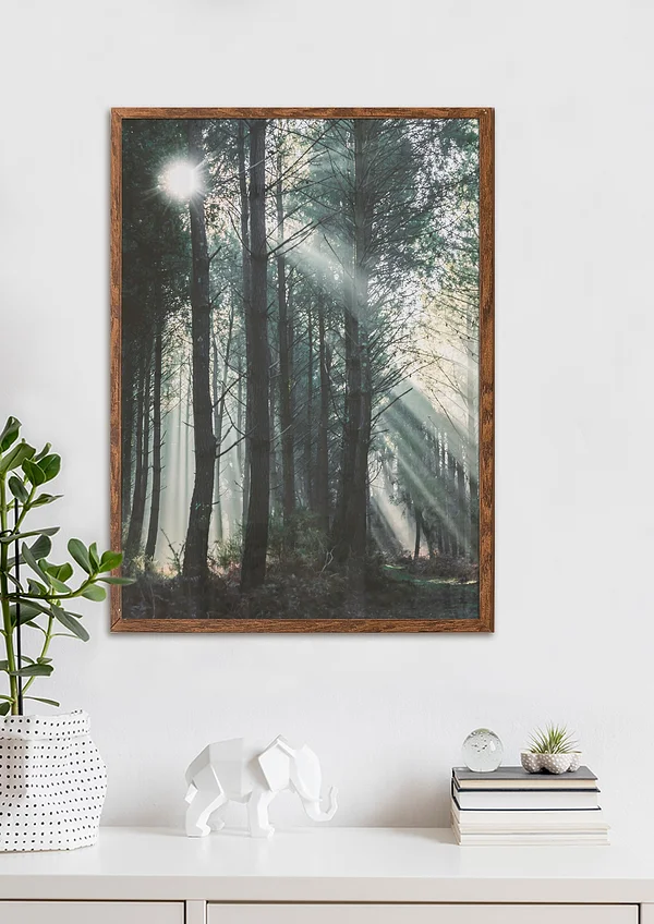 Słoneczne przebłyski 